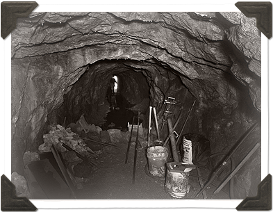 Noble Mine