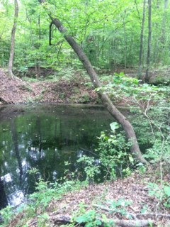 Image 8.jpg